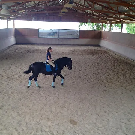 Quinta De Palhacana Farm stay *
