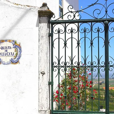 Quinta De Palhacana Farm stay