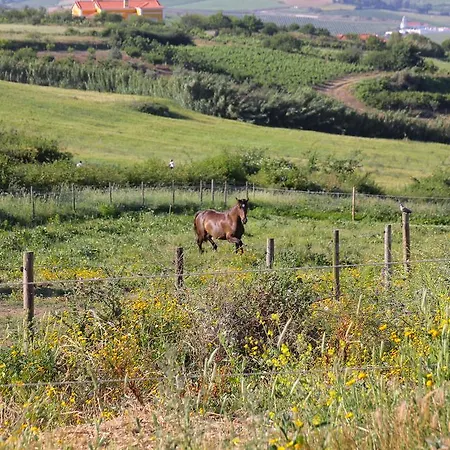 Quinta De Palhacana Farm stay *
