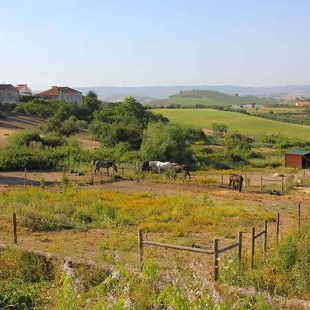 Quinta De Palhacana Pereiro da Palhacana